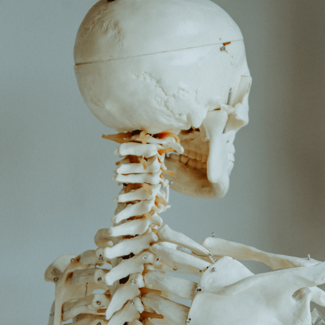 Can Chiropractors Treat Whiplash? 